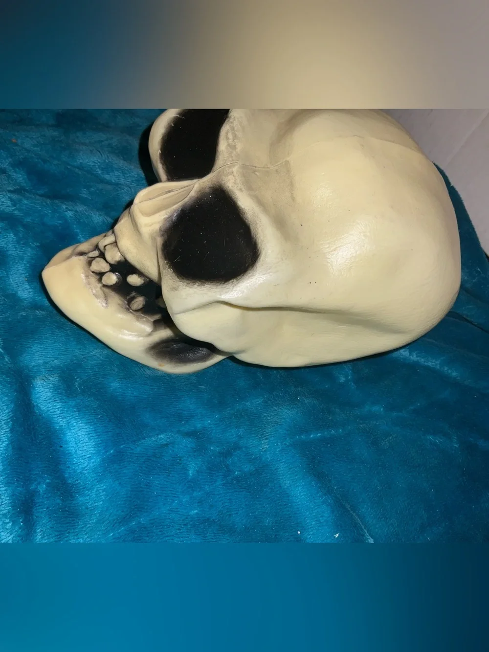 N/A vibrant skull